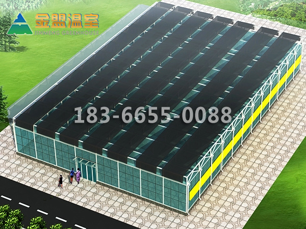 16040474078366438