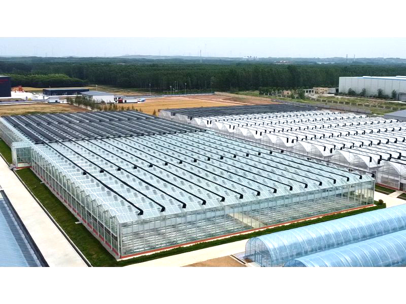 地域定制连栋薄膜温室、智能玻璃温室｜温室方案防减配验收标准
