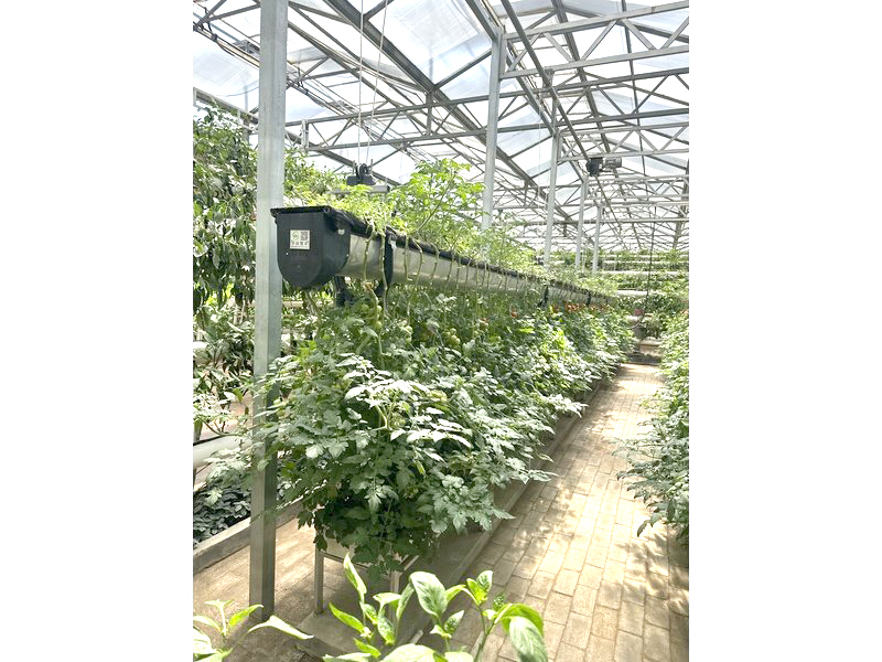 气候定制连栋薄膜温室、智能玻璃温室