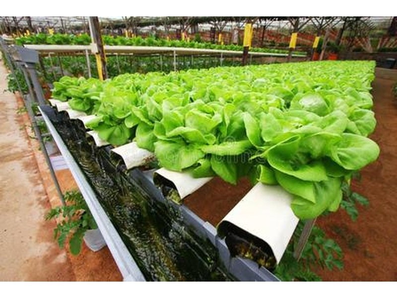 去哪里找可全国上门安装、全包无隐形消费、自有施工队带售后的温室源头厂家?筛选渠道与核验标准