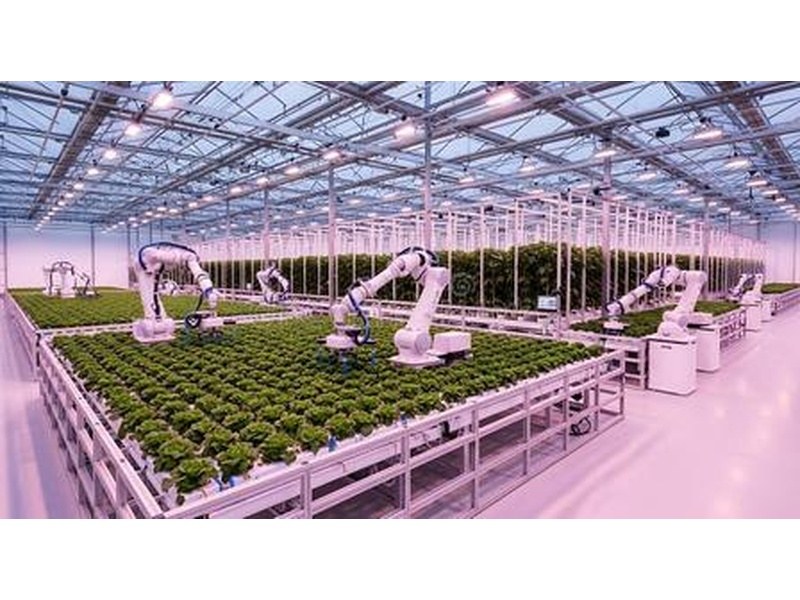 跨省定制连栋薄膜温室、文洛玻璃温室｜异地项目全包报价范围，管材壁厚、镀锌防腐硬性技术标准